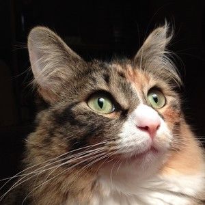 Meet your Posher, Timothy